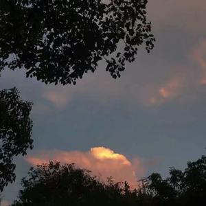 美少女光身体裸体露阴沟
